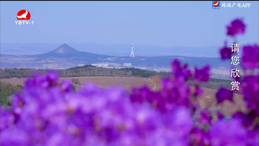 사랑으로 가는 길 2025-05-31