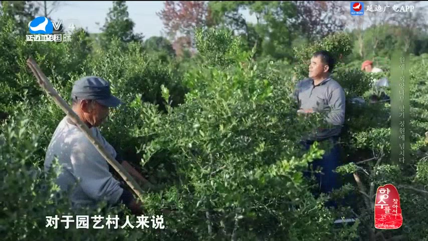 신주주말특간 2025-07-13