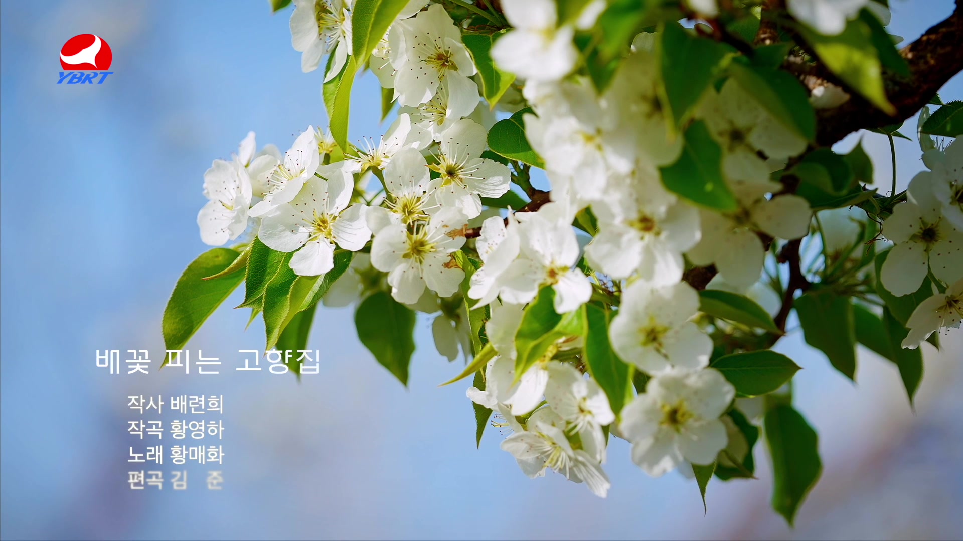 <배꽃 피는 고향집>작사 배련희 작곡 황영하 노래 황매화 편곡 김준 