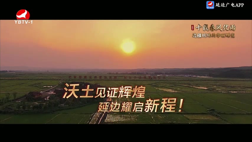 TV문화를 품다 2025-07-18