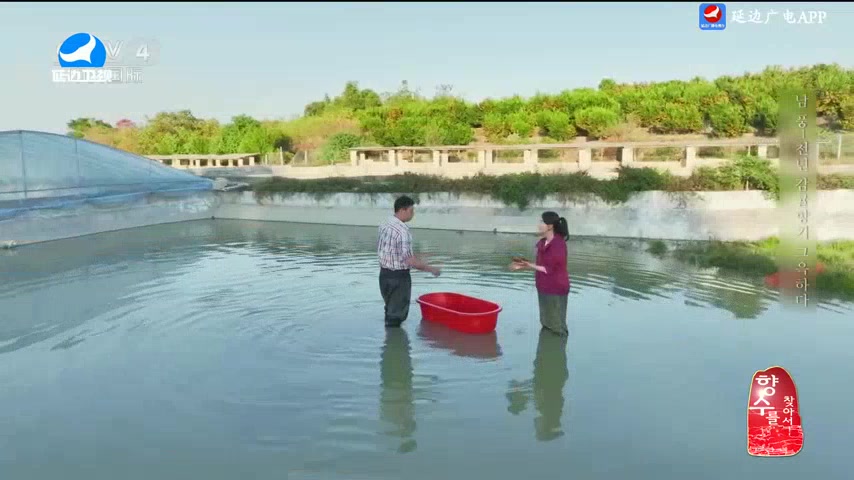 신주주말특간 2025-08-10