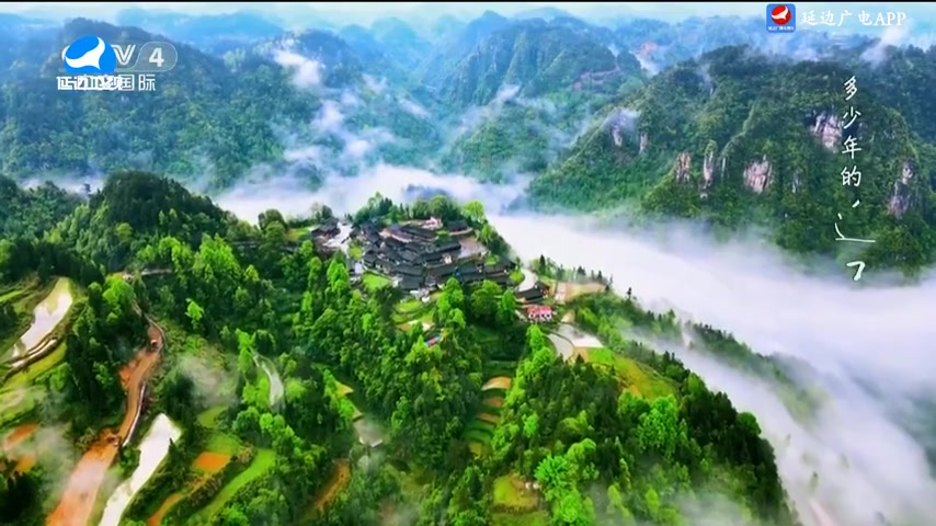 신주주말특간 2025-10-19