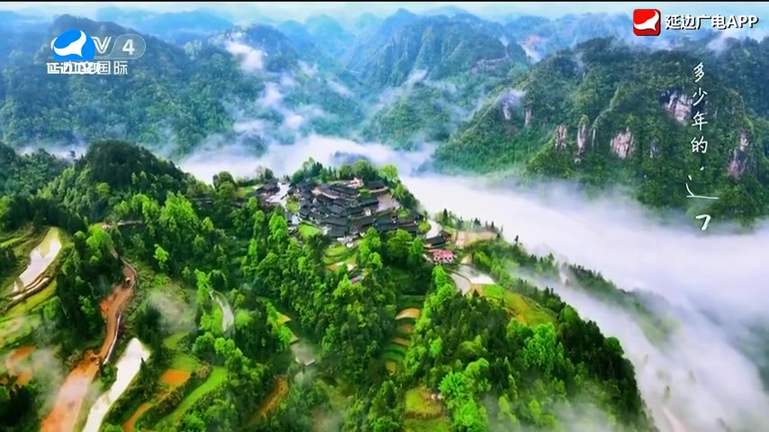 신주주말특간 2025-11-23