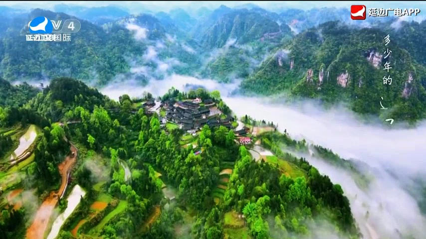 신주주말특간 2026-01-11