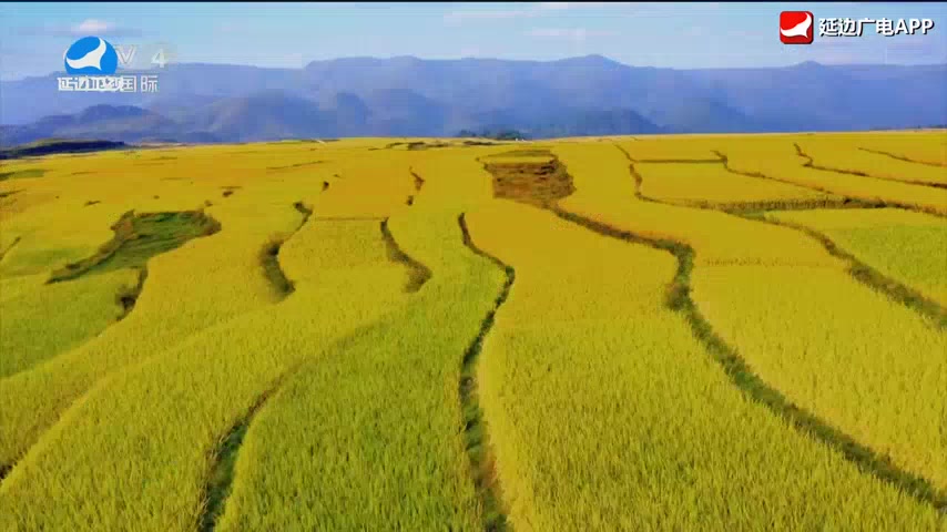 신주주말특간 2026-02-22