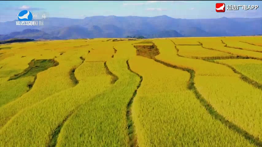 신주주말특간 2026-03-01