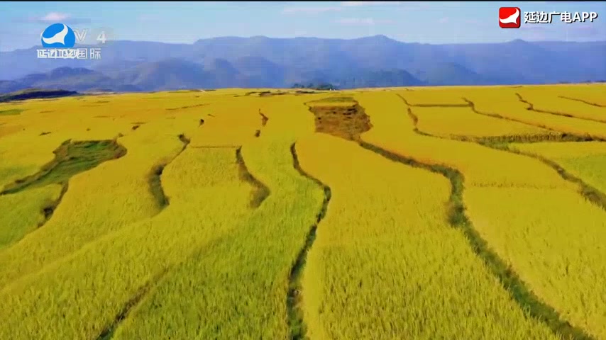 신주주말특간 2026-03-21