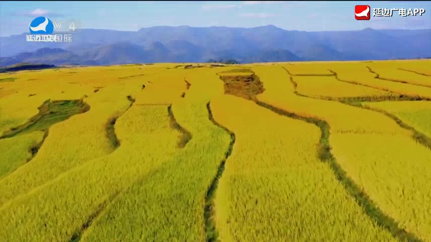 신주주말특간 2026-03-28