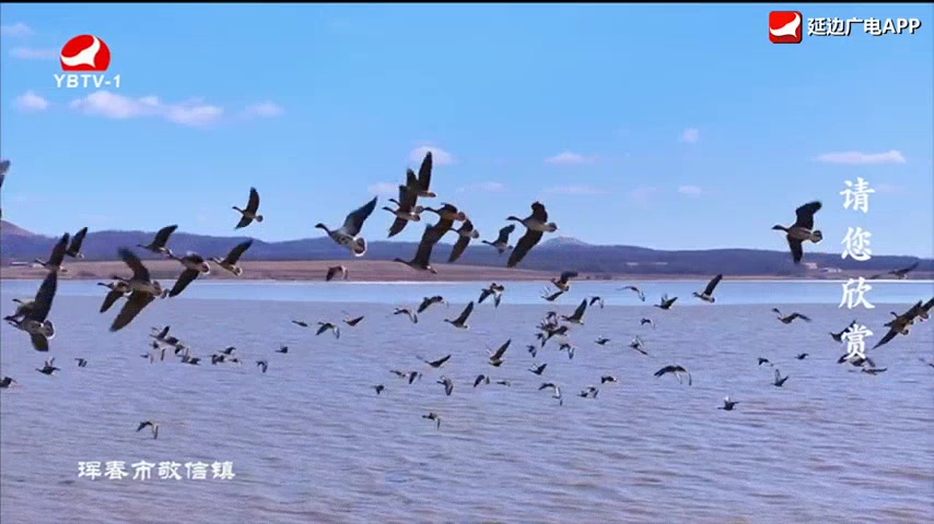 최강클라스 2026-03-29