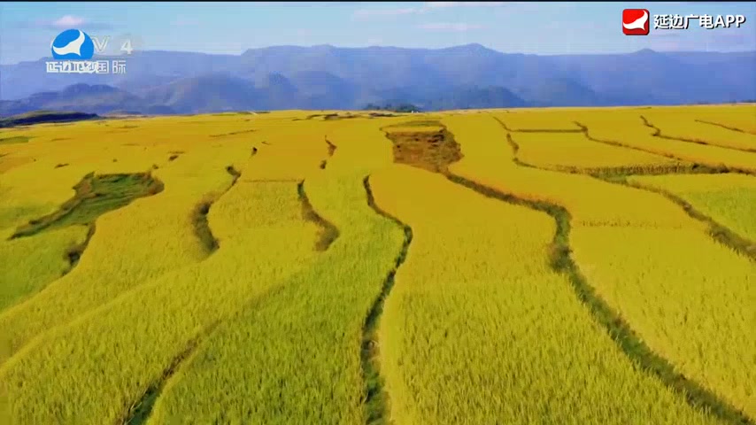 신주주말특간 2026-03-29