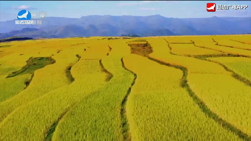 신주주말특간 2026-04-19