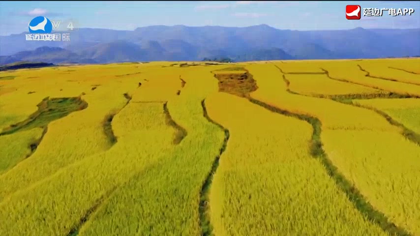 신주주말특간 2026-04-25