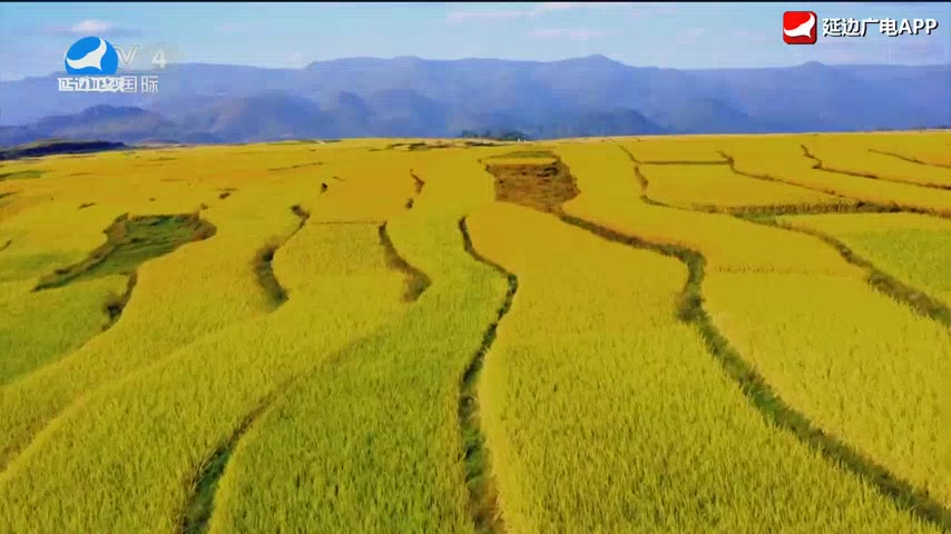 신주주말특간 2026-04-26